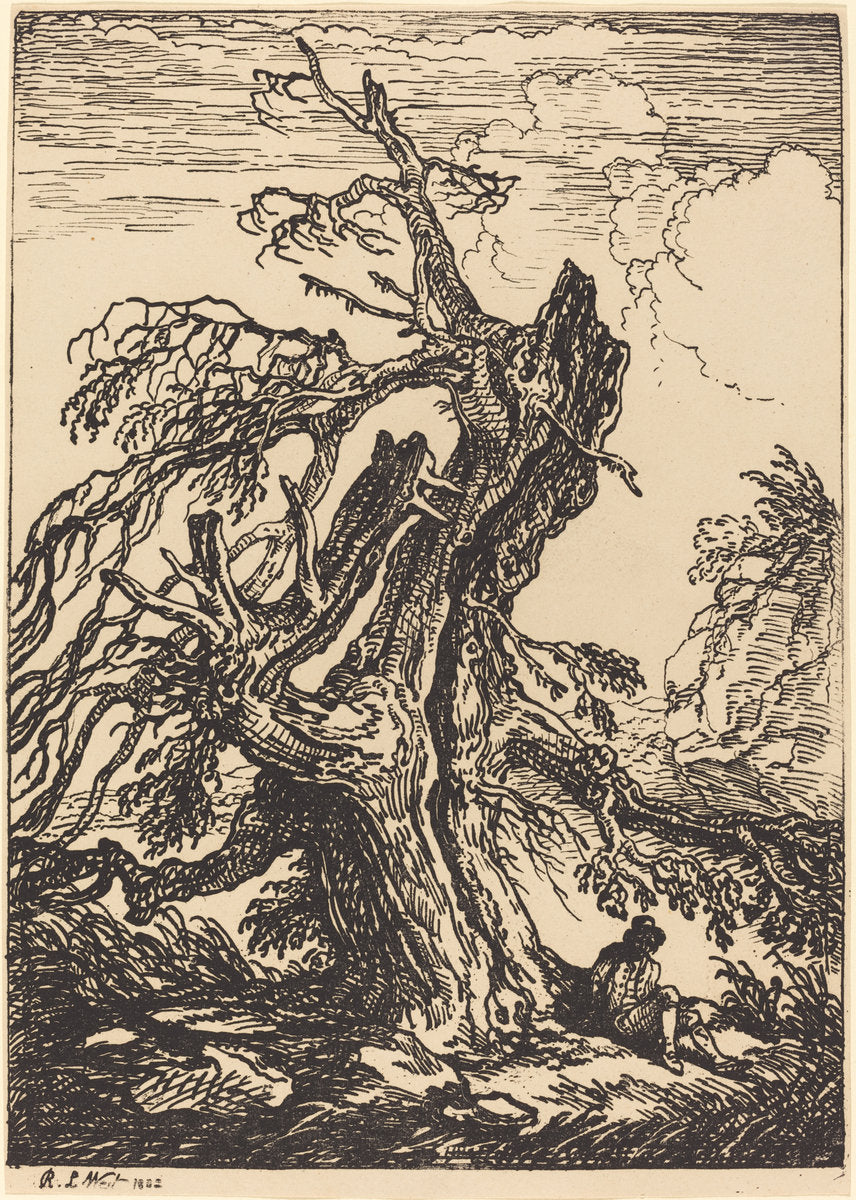 Study of a Tree by Raphael Lamar West (British, 1769 - 1850), 16X12"(A3)Poster Print