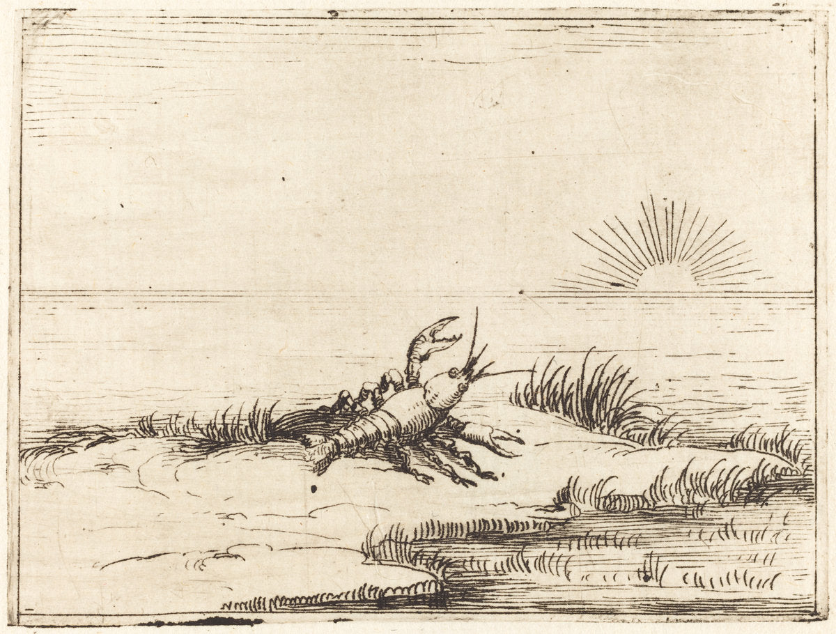 Crayfish Looking at the Sun by Jacques Callot (French, 1592 - 1635), 16X12"(A3)Poster Print