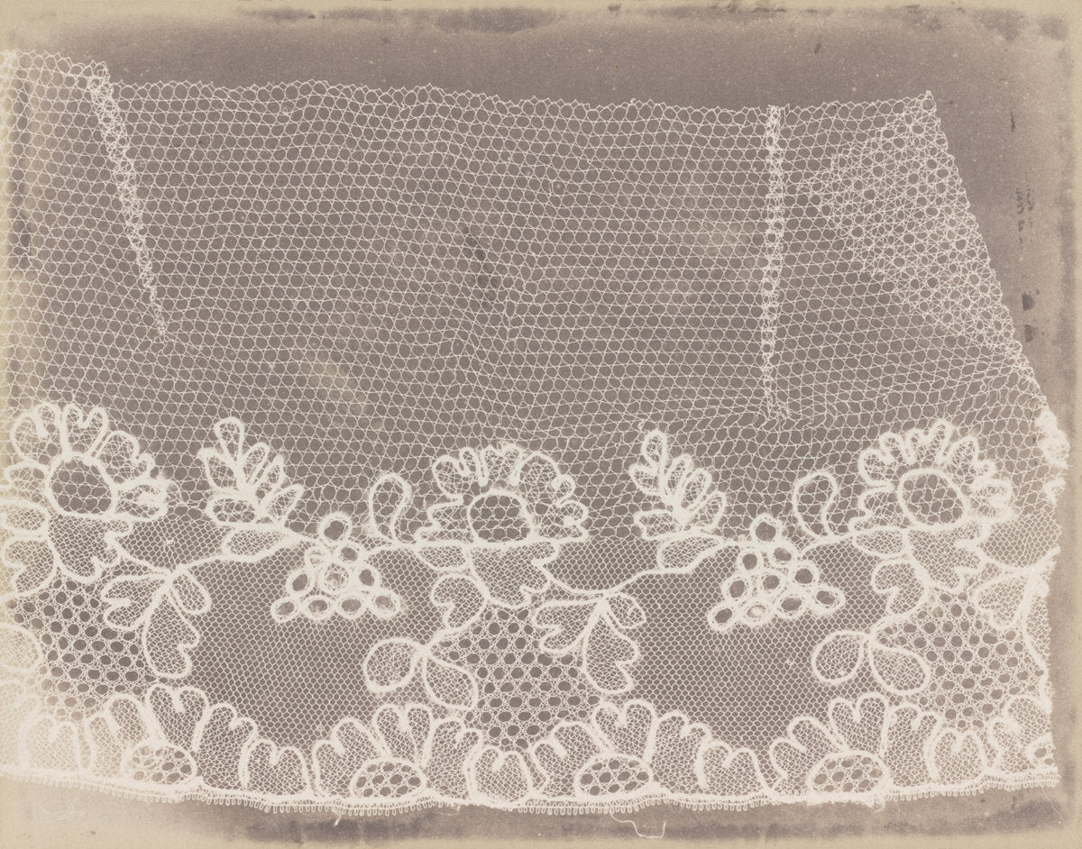 Lace by William Henry Fox Talbot (British, 1800 - 1877), 16X12"(A3)Poster Print