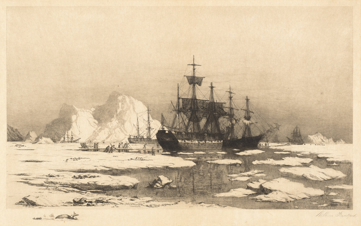Among the Ice Floes by William Bradford (American, 1823 - 1892), 16X12"(A3)Poster Print