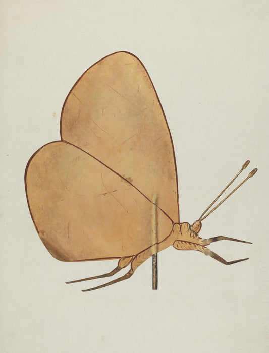 Butterfly Weather Vane by Hazel Hyde (American, active c. 1935), 16X12"(A3)Poster Print