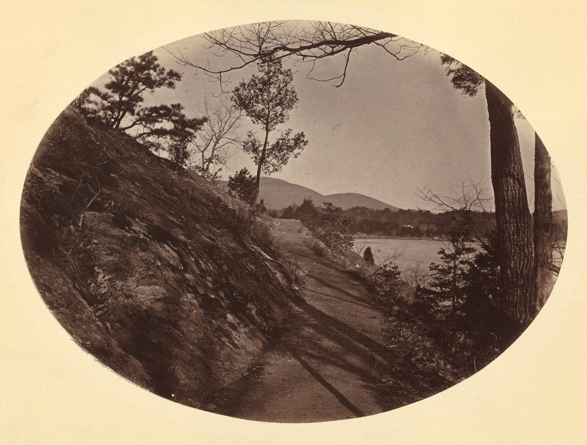 F.W. 4 (Old Chain Battery Walk), West Point, New York by George K. Warren (American, 1834 - 1884), 16X12"(A3)Poster Print