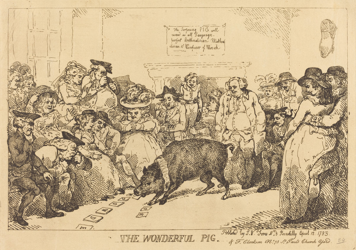 The Wonderful Pig by Thomas Rowlandson (British, 1756 - 1827), 16X12"(A3)Poster Print