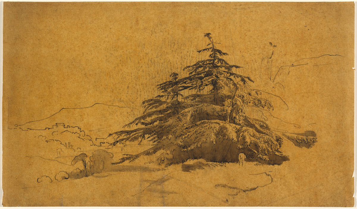 Study of Trees in a Landscape by John Varley (British, 1778 - 1842), 16X12"(A3)Poster Print