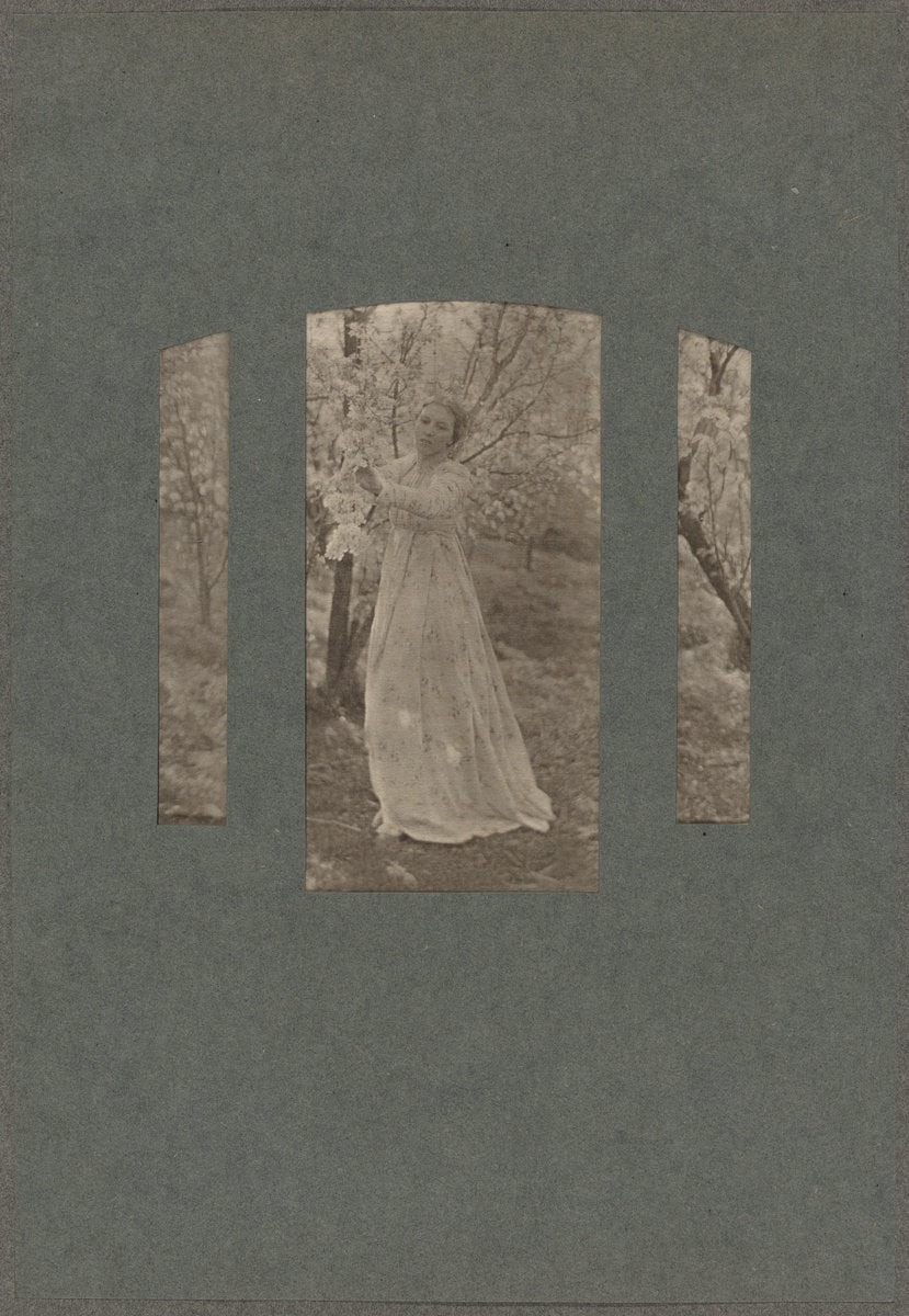 Spring by Clarence White (American, 1871 - 1925), 16X12"(A3)Poster Print