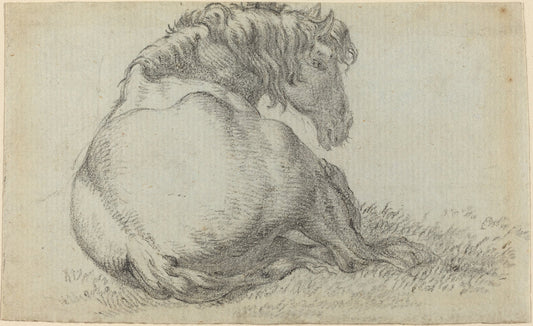 Resting Horse by Attributed to Paulus Potter (Dutch, 1625 - 1654), 16X12"(A3)Poster Print