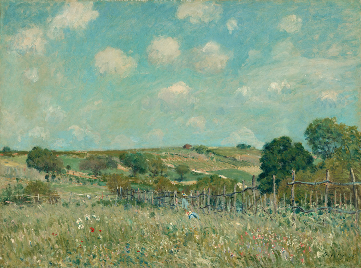 Meadow by Alfred Sisley (French, 1839 - 1899), 16X12"(A3)Poster Print
