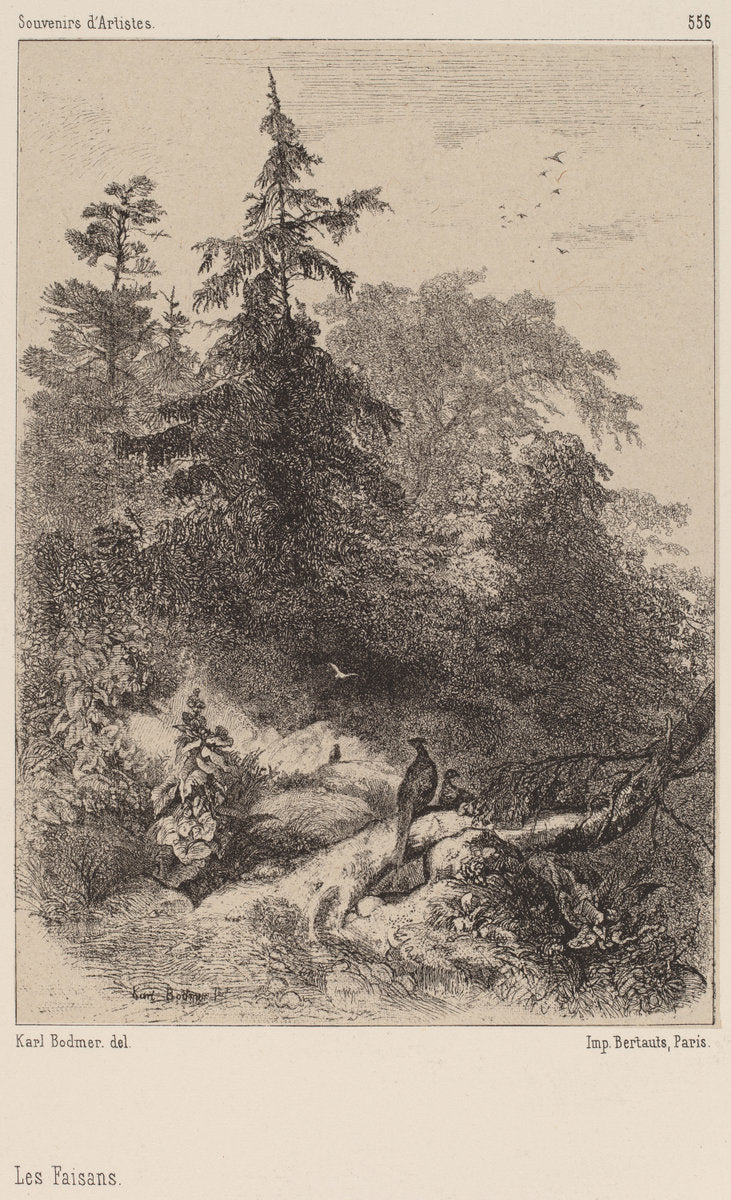 Les Faisans by Karl Bodmer (Swiss, 1809 - 1893), 16X12"(A3)Poster Print