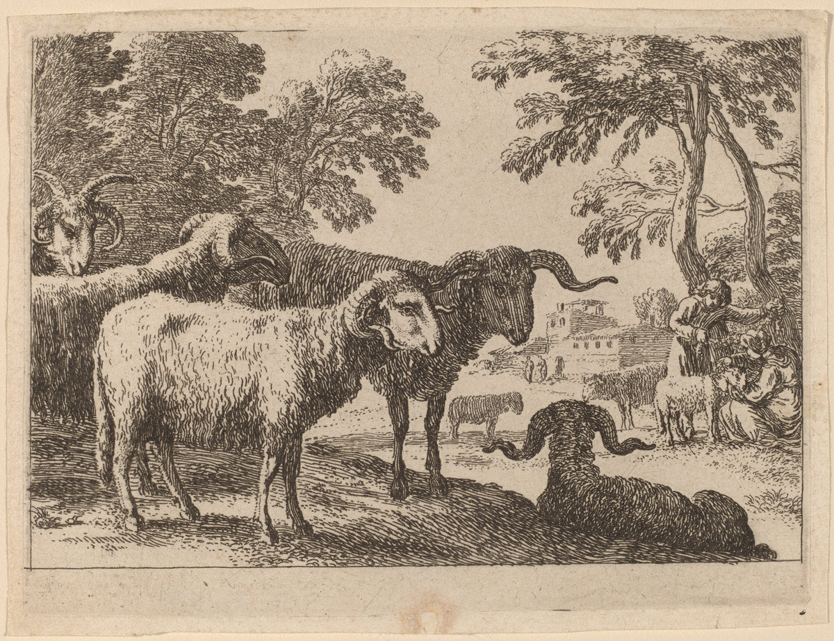 Rams by Herman van Swanevelt (Dutch, c. 1600 - 1655), 16X12"(A3)Poster Print