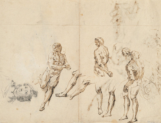 Head of a Woman and Studies of a Male Nude [verso] by Francesco Fontebasso (Venetian, 1709 - 1769), 16X12"(A3)Poster Print