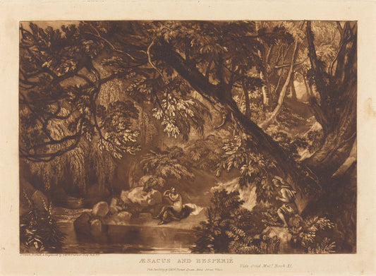 Aesacus and Hesperie by Joseph Mallord William Turner (British, 1775 - 1851), 16X12"(A3)Poster Print