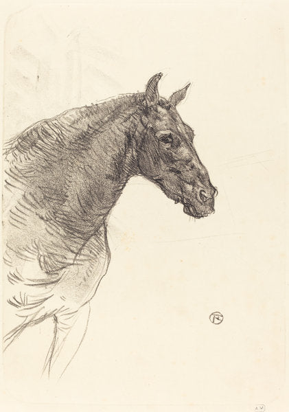 Old Horse (Le vieux cheval) by Henri de Toulouse-Lautrec (French, 1864 - 1901), 16X12"(A3)Poster Print