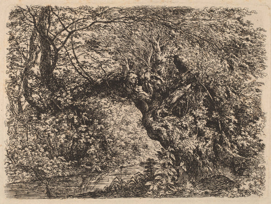 An Old Willow by a Stream by Johann Georg von Dillis (German, 1759 - 1841), 16X12"(A3)Poster Print