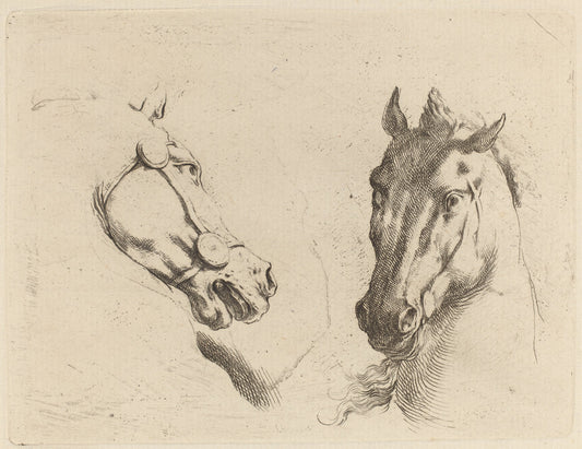 Head of a Horse Seen in Profile and in Three-Quarters by Stefano Della Bella (Italian, 1610 - 1664), 16X12"(A3)Poster Print