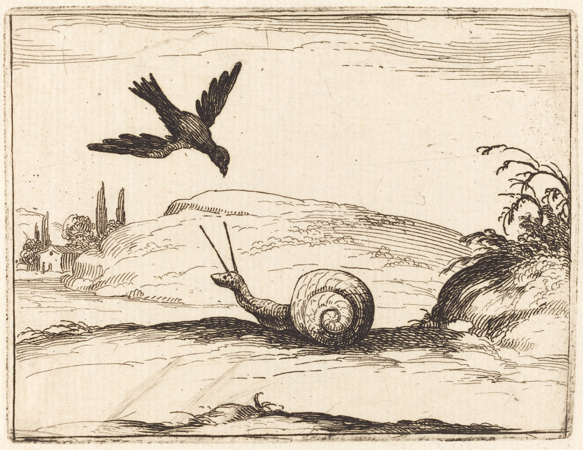 Crow and Snail by Jacques Callot (French, 1592 - 1635), 16X12"(A3)Poster Print