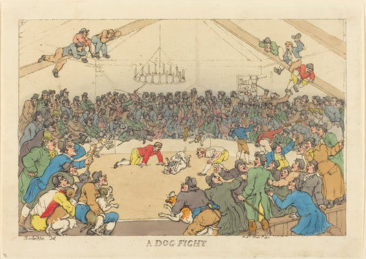A Dog Fight by Thomas Rowlandson (British, 1756 - 1827), 16X12"(A3)Poster Print