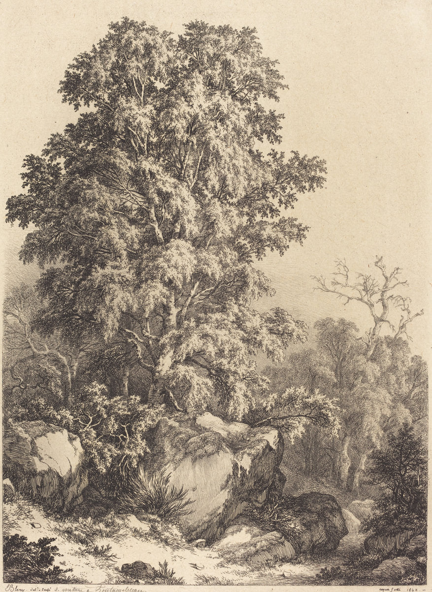 Beech Grove by Eugène Bléry (French, 1805 - 1887), 16X12"(A3)Poster Print
