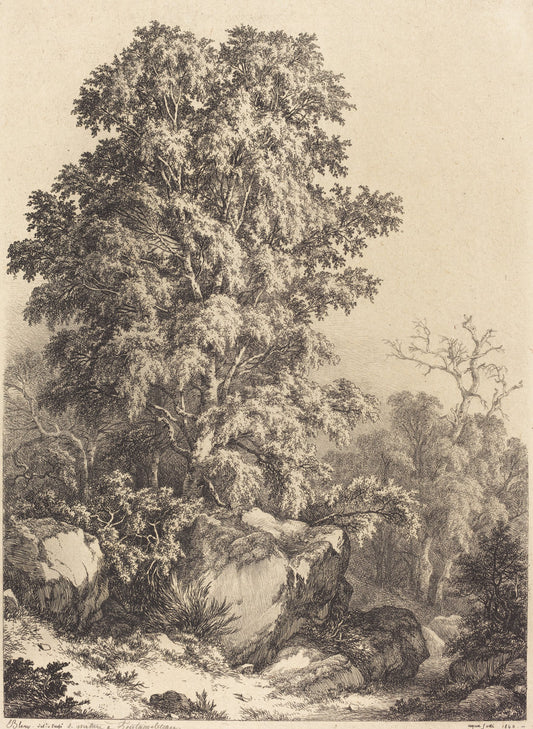 Beech Grove by Eugène Bléry (French, 1805 - 1887), 16X12"(A3)Poster Print