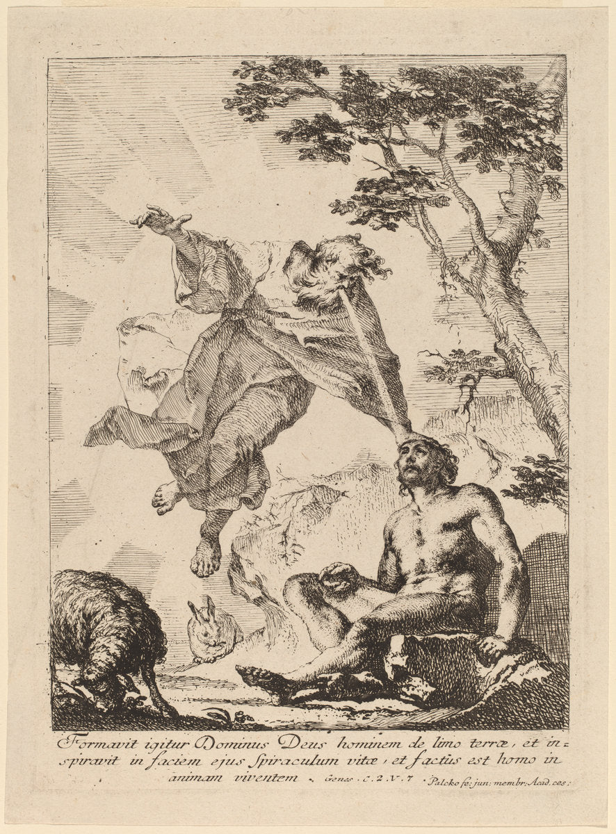 God Breathing Life into Adam by Franz Karl Palko (Czech, 1724 - 1767/1770), 16X12"(A3)Poster Print