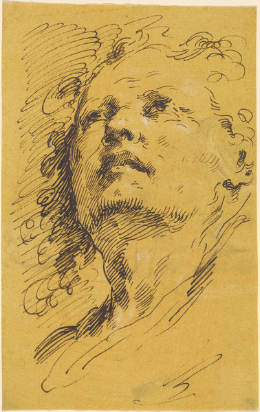 Head of a Man Looking Up by Pietro Antonio Novelli (Venetian, 1729 - 1804), 16X12"(A3)Poster Print