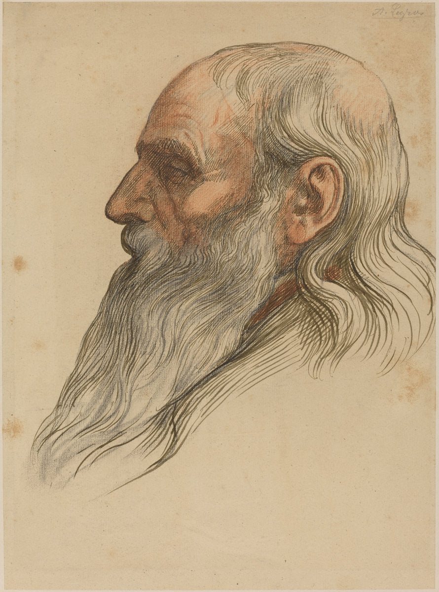 Study of a Man's Head with a Full Beard by Alphonse Legros (French, 1837 - 1911), 16X12"(A3)Poster Print