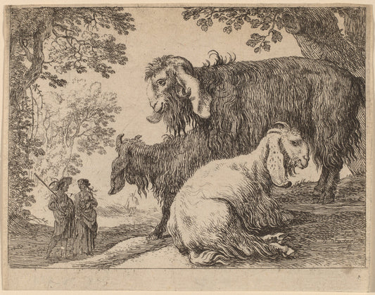 Angora Sheep by Herman van Swanevelt (Dutch, c. 1600 - 1655), 16X12"(A3)Poster Print