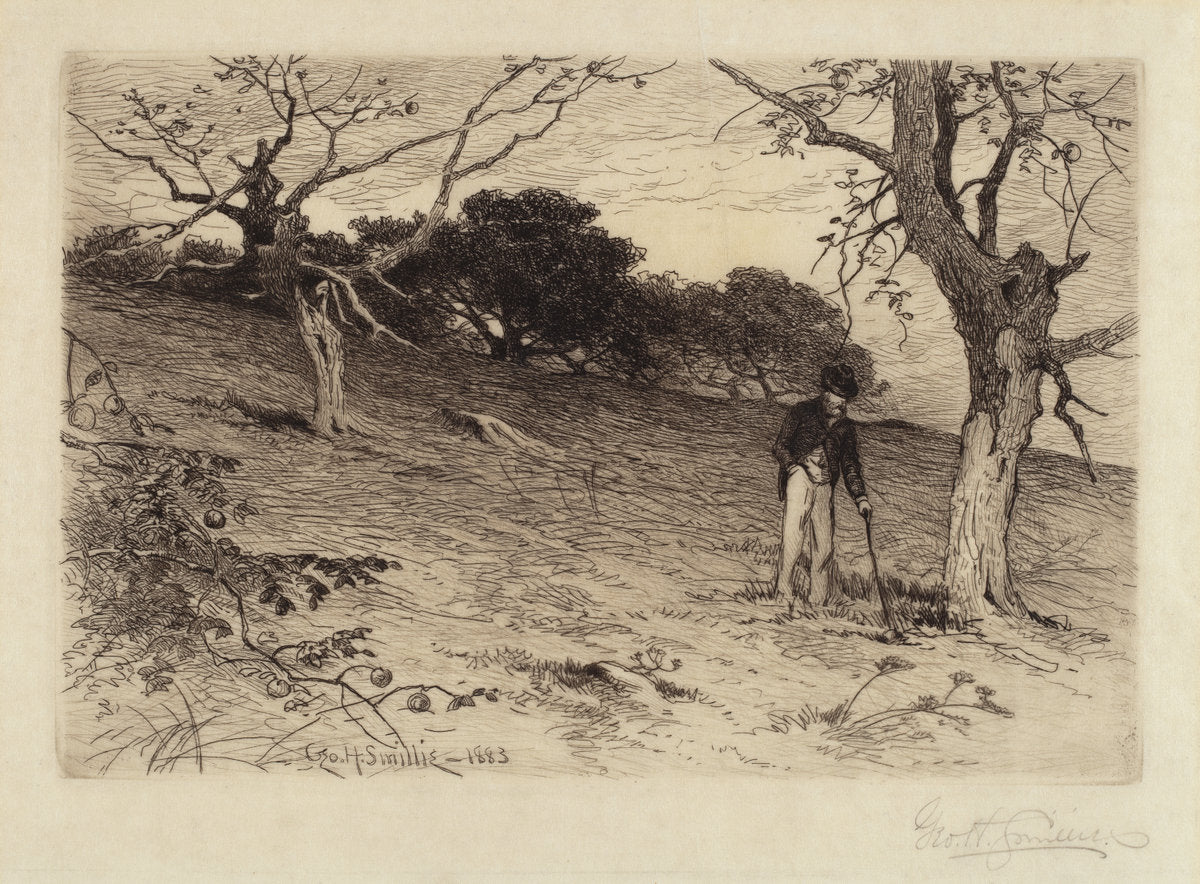 Old New England Orchard by George Henry Smillie (American, 1840 - 1921), 16X12"(A3)Poster Print