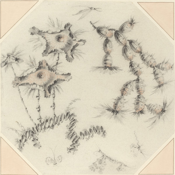 Bamboo Flowers and Cactus by Jean-Baptiste Pillement (French, 1728 - 1808), 16X12"(A3)Poster Print