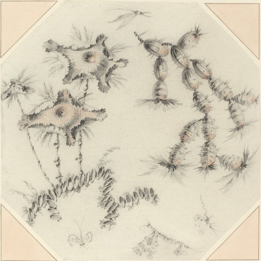Bamboo Flowers and Cactus by Jean-Baptiste Pillement (French, 1728 - 1808), 16X12"(A3)Poster Print