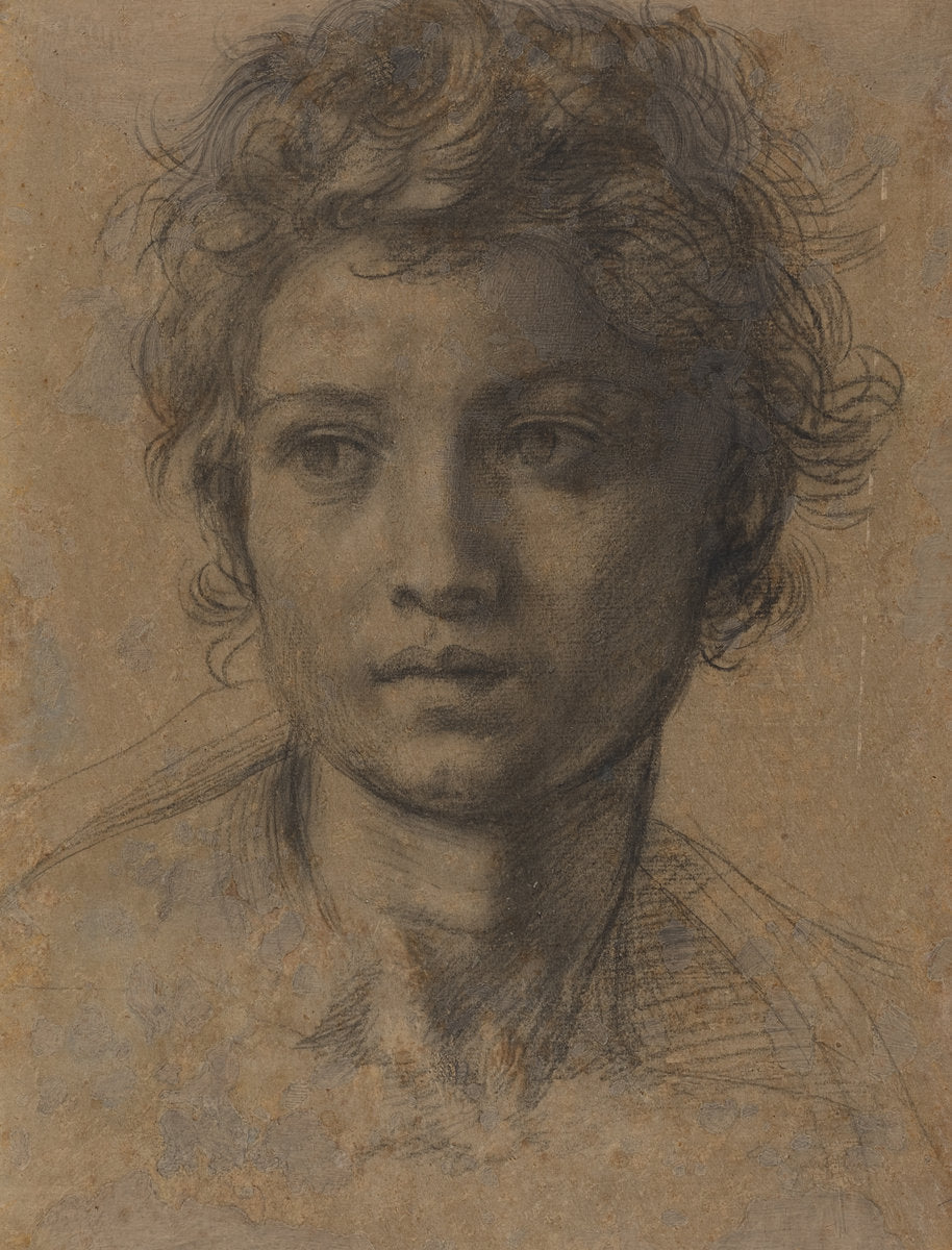 Head of Saint John the Baptist by Andrea del Sarto (Florentine, 1486 - 1530), 16X12"(A3)Poster Print