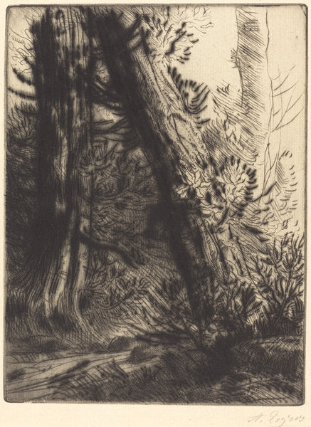 Edge of a Brook (Bord de ruisseau) by Alphonse Legros (French, 1837 - 1911), 16X12"(A3)Poster Print