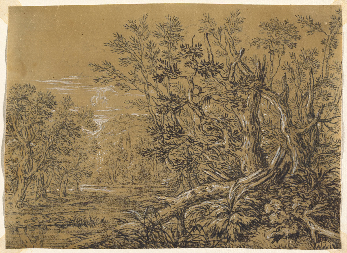 Stream through an Ancient Forest by Jonas Umbach (German, c. 1624 - 1693), 16X12"(A3)Poster Print