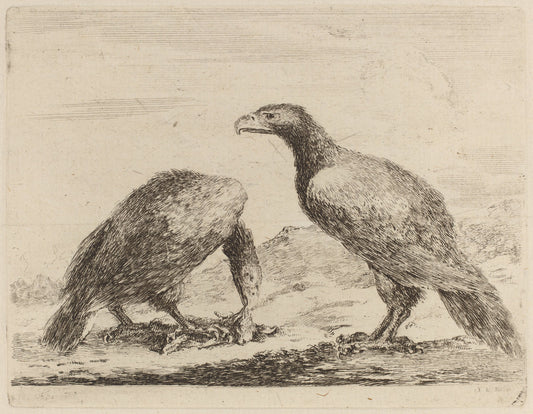 Two Eagles, One Eating a Small Lamb by Stefano Della Bella (Italian, 1610 - 1664), 16X12"(A3)Poster Print