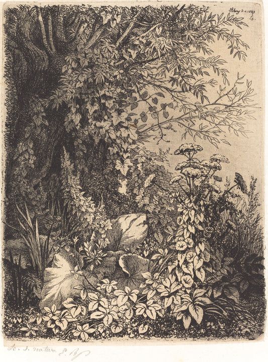 La bardane au saule (Burdock with Willow) by Eugène Bléry (French, 1805 - 1887), 16X12"(A3)Poster Print