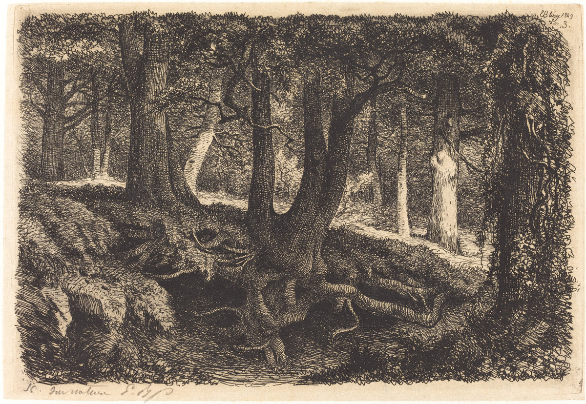 L'arbre aux racines (Tree with Roots) by Eugène Bléry (French, 1805 - 1887), 16X12"(A3)Poster Print
