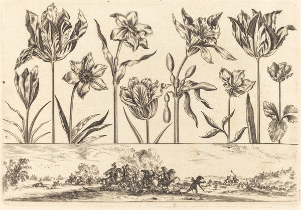 Flower Print no.2 by Nicolas Cochin after Balthasar Moncornet (French, 1610 - 1686), 16X12"(A3)Poster Print
