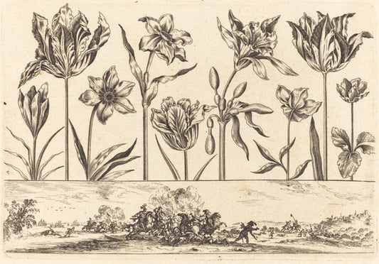 Flower Print no.2 by Nicolas Cochin after Balthasar Moncornet (French, 1610 - 1686), 16X12"(A3)Poster Print