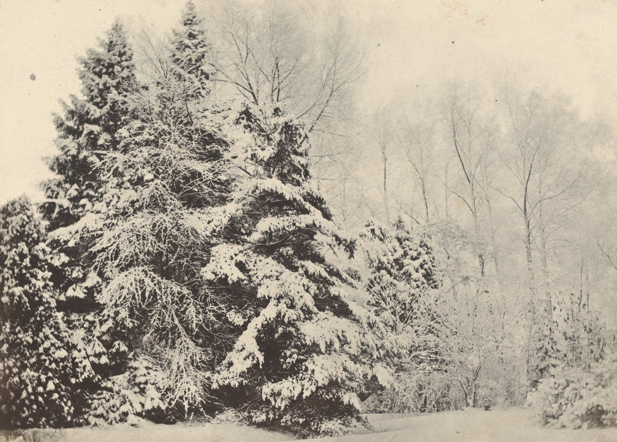 Paysage de sapins sous la neige by Baron A. Fays (French, active 1850s), 16X12"(A3)Poster Print