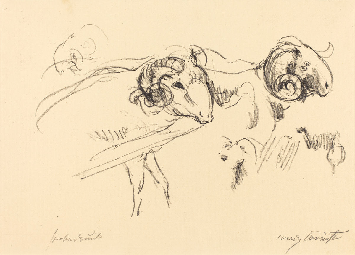 Rams (Schafböcke) by Lovis Corinth (German, 1858 - 1925), 16X12"(A3)Poster Print
