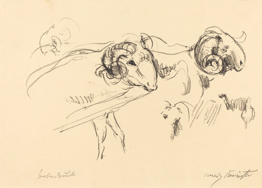 Rams (Schafböcke) by Lovis Corinth (German, 1858 - 1925), 16X12"(A3)Poster Print