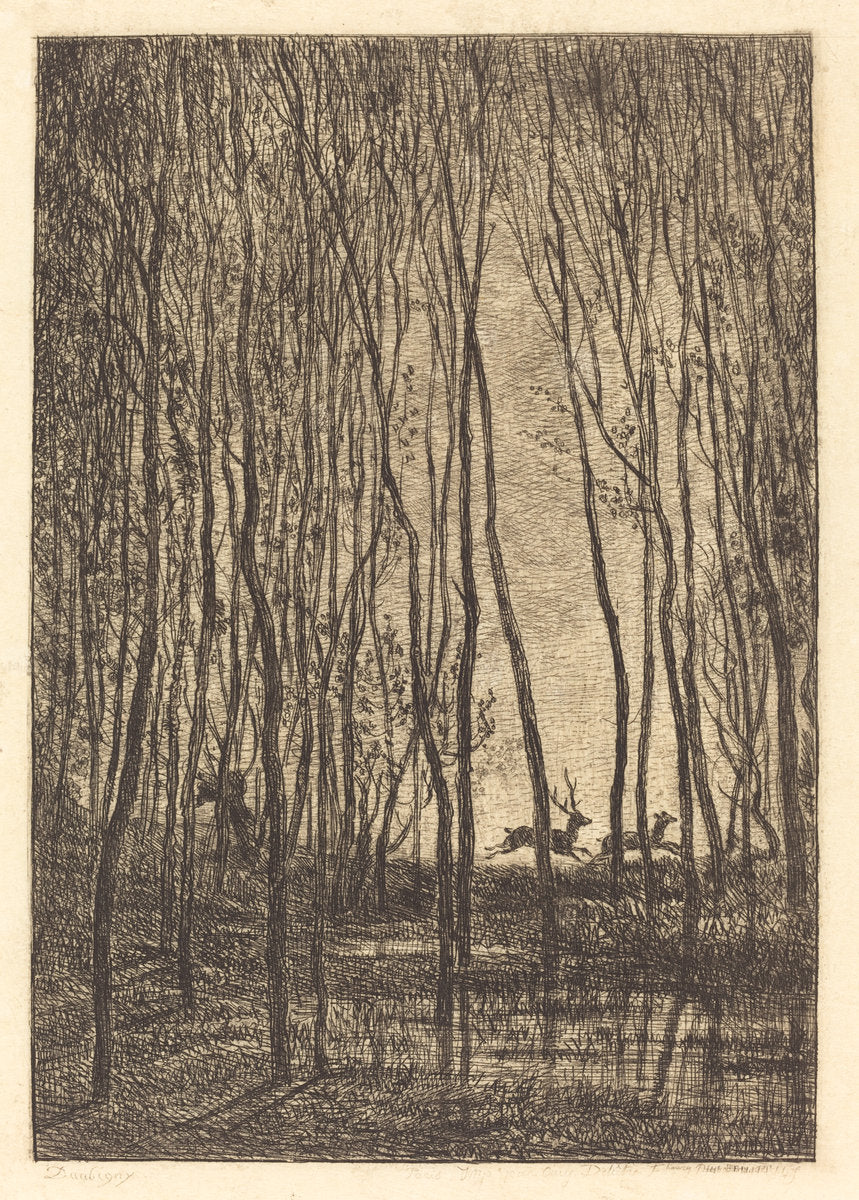 Deer in the Woods (Les Cerfs sous bois) by Charles-François Daubigny (French, 1817 - 1878), 16X12"(A3)Poster Print