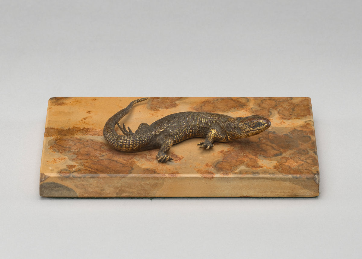 probably 19th century by Probably European 19th Century (Life Cast of a Lizard), 16X12"(A3)Poster Print