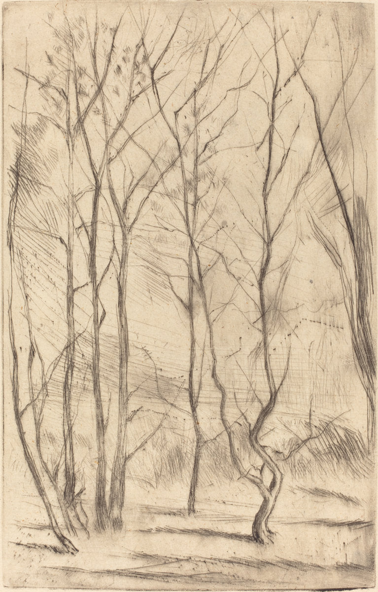 The Dam Wood by James McNeill Whistler (American, 1834 - 1903), 16X12"(A3)Poster Print