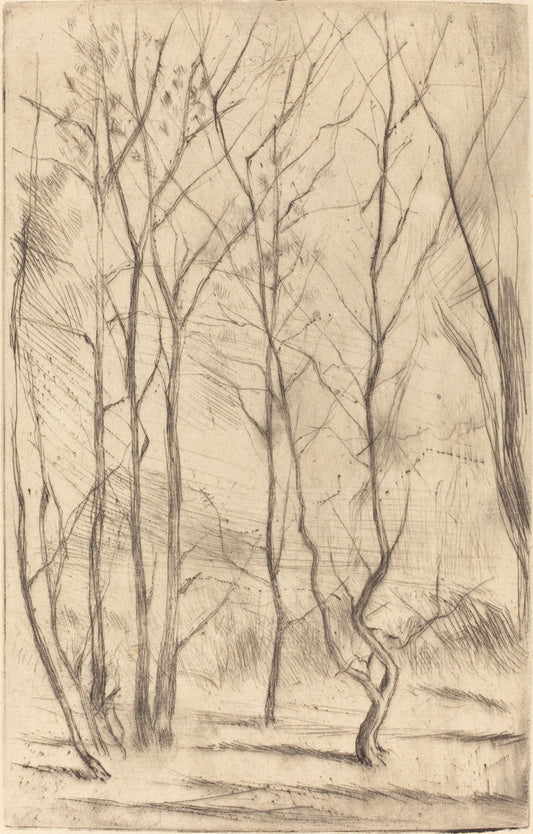 The Dam Wood by James McNeill Whistler (American, 1834 - 1903), 16X12"(A3)Poster Print