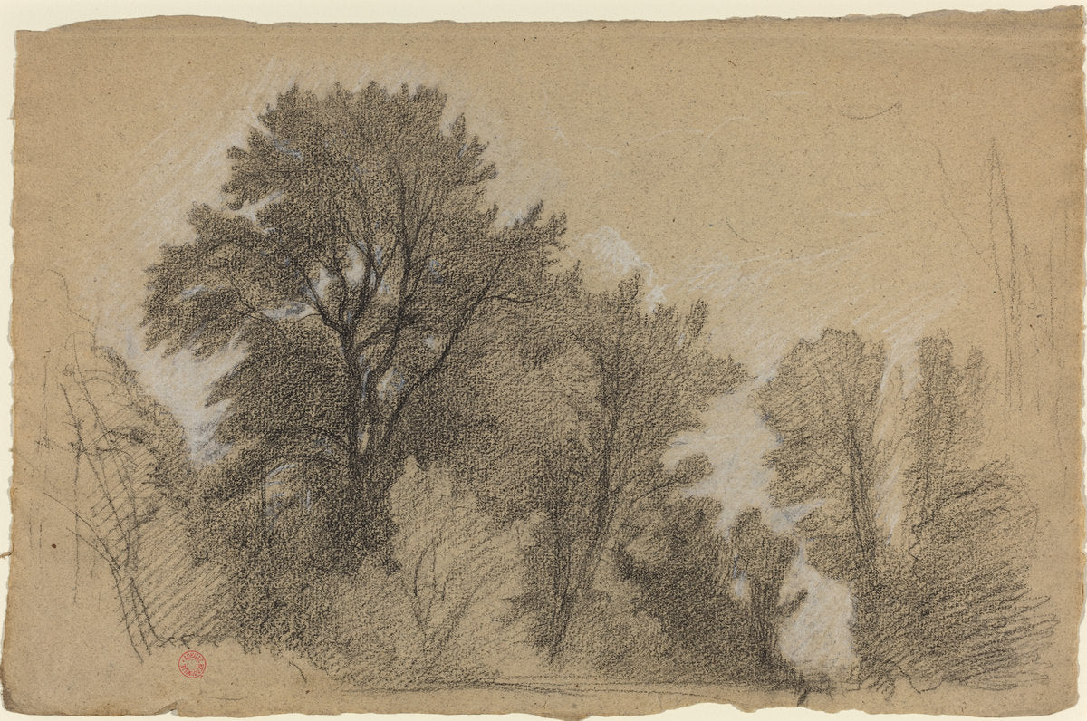 Edge of a Wood by Jean Achille Benouville (French, 1815 - 1891), 16X12"(A3)Poster Print