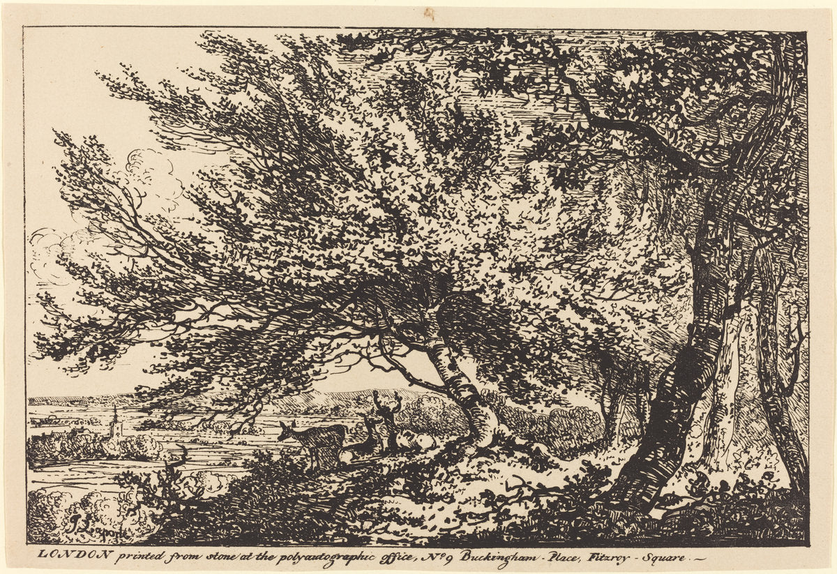 Landscape with Deer under Trees by John Laporte (British, 1761 - 1839), 16X12"(A3)Poster Print