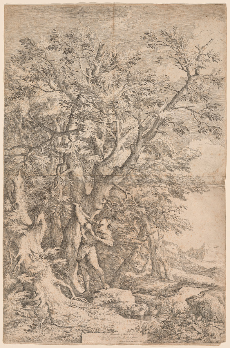 The Rescue of the Infant Oedipus by Salvator Rosa (Neapolitan, 1615 - 1673), 16X12"(A3)Poster Print