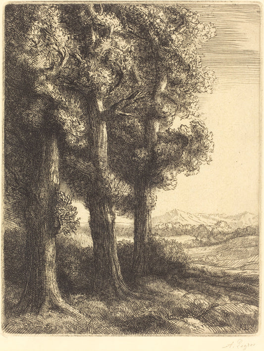 Corner of a Wood (Coin d'un bois) by Alphonse Legros (French, 1837 - 1911), 16X12"(A3)Poster Print
