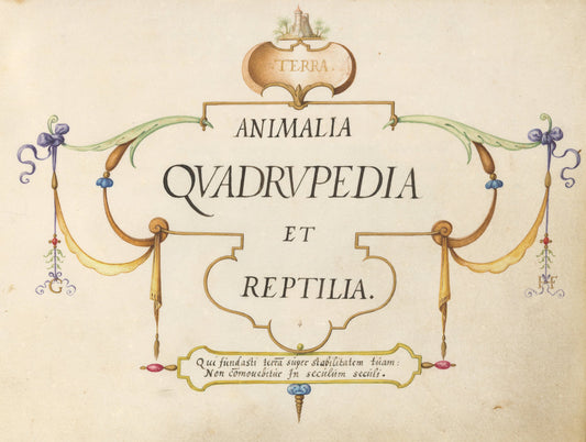 Animalia Qvadrvpedia et Reptilia (Terra): Title Page by Joris Hoefnagel (Flemish, 1542 - 1600), 16X12"(A3)Poster Print