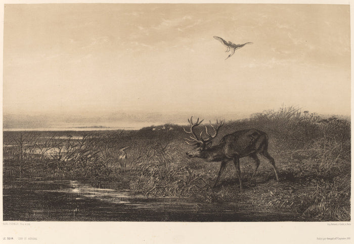 Le Soir.  Cerf et Herons by Karl Bodmer (Swiss, 1809 - 1893), 16X12